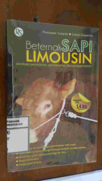 Image of BETERNAK SAPI LIMOUSIN