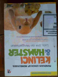 Image of Rahasia Di Balik Robohnya Tongkat Nabi Sulaiman