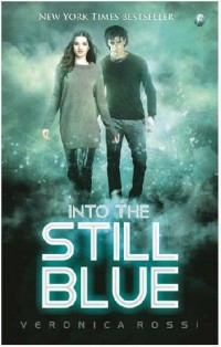 Image of Into the still blue
