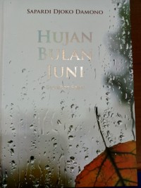 Image of Hujan bulan juni